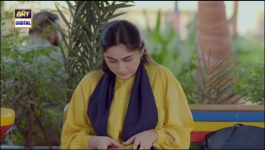 Aapa Shameem - Episode 29 - 4th January 2025